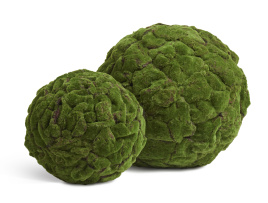 Шар из мха (Арт-объект)