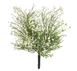 Цветущий полевой куст белый