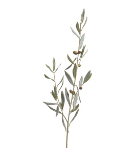 Ветвь оливы интерьерная с плодами (серия Prime)