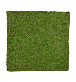 Мох Soft полотно 100х100 см