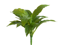 Спацифилум-мини куст зелёный (Sensitive Botanic)