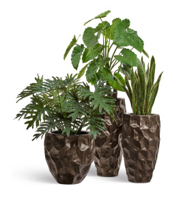 Сет № 14 - Композиция в кашпо Treez Effectory Metal Design Crumple Чернёная бронза