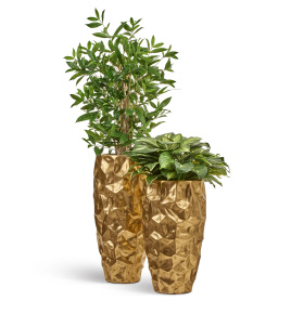 Сет № 15 - Композиция c хостой в кашпо Treez Effectory Metal Design Crumple Сусальное золото