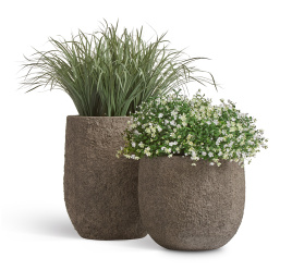 Сет № 24 - Лемонграсс и Альпийское разнотравье в кашпо Treez Effectory Terra Чаша