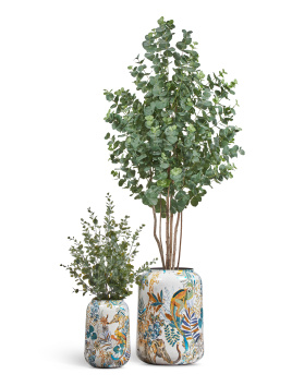 Сет № 49 - Композиция с Эвкалиптами в кашпо Treez Effectory Savage Garden