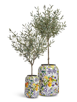 Сет № 51 - Композиция с Оливами (серия Prime) в кашпо Treez Effectory Savage Garden