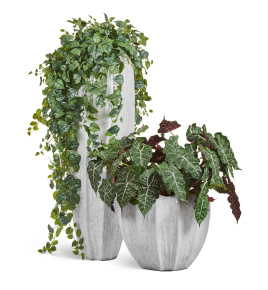 Сет № 119 - Композиция со сциндапсусами в кашпо Treez Effectory Aura