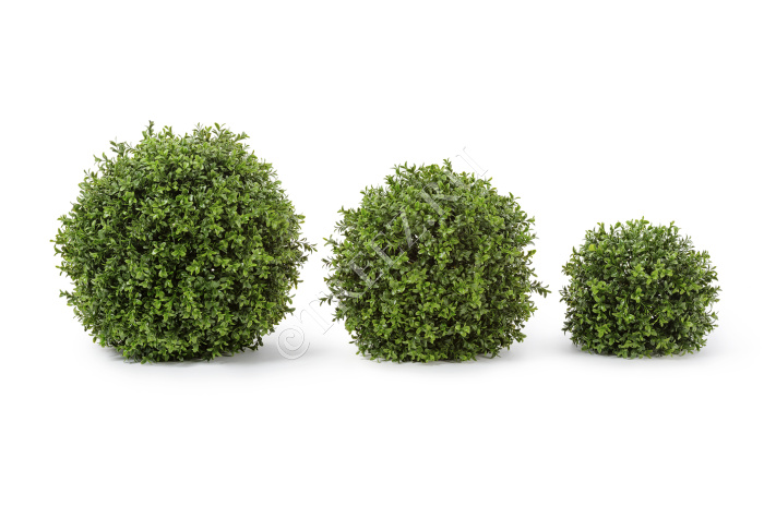 Самшитовый шар (Декор) фото