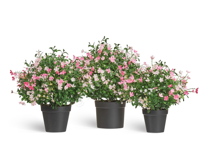 Альпийское разнотравье с нежно-розовыми и белыми цветами (3 размера) фото