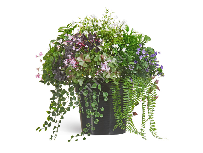 Цветущее разнотравье куст фото