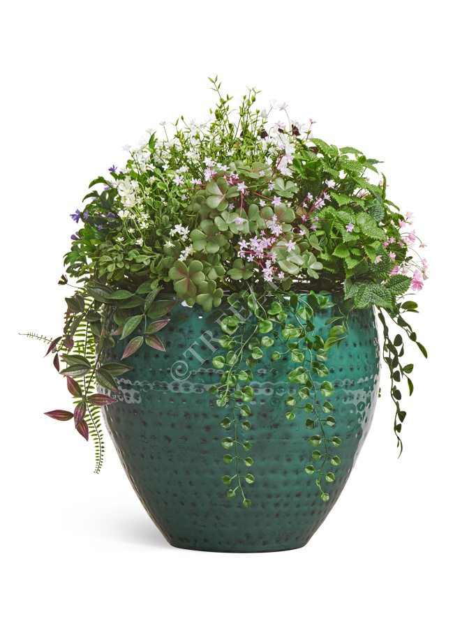 Цветущее разнотравье куст фото