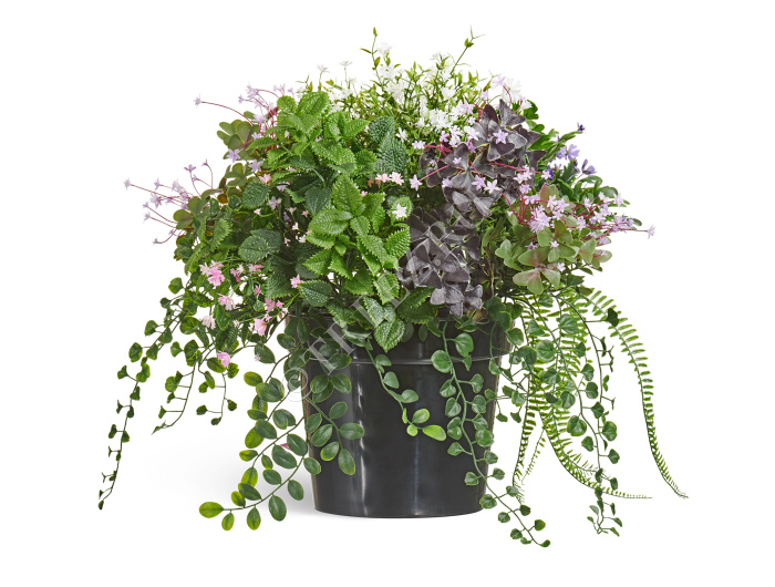 Цветущее разнотравье куст фото