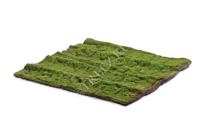 Мох полотно фото