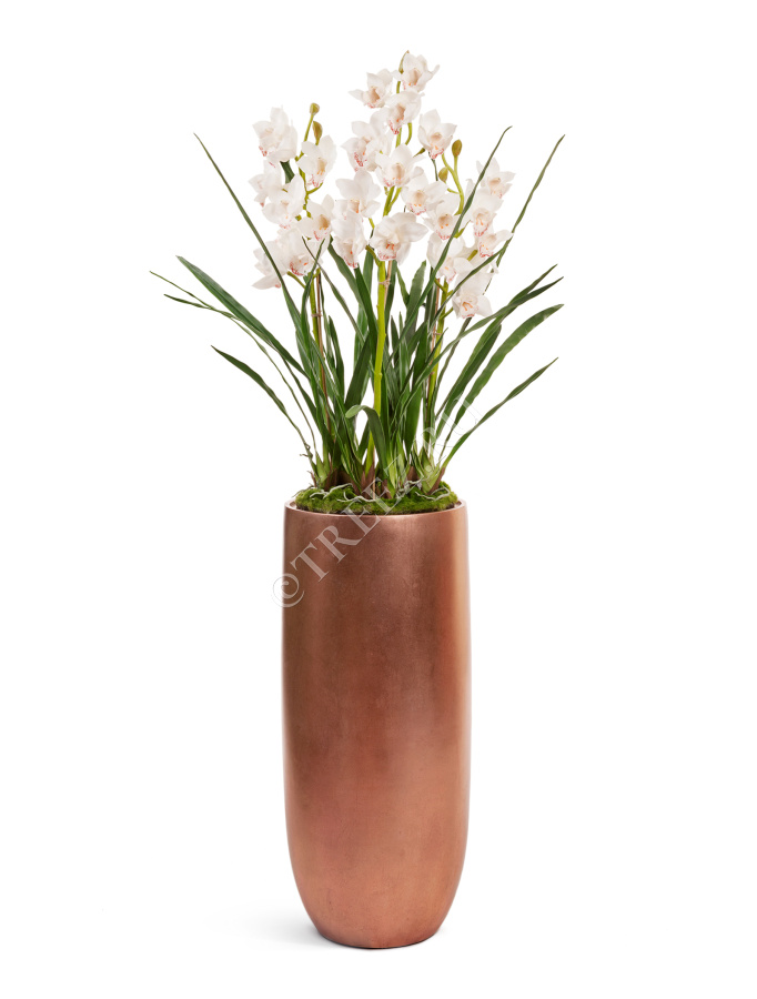 Орхидея Цимбидиум куст белый 3 ветки с имитацией земли (без кашпо) фото