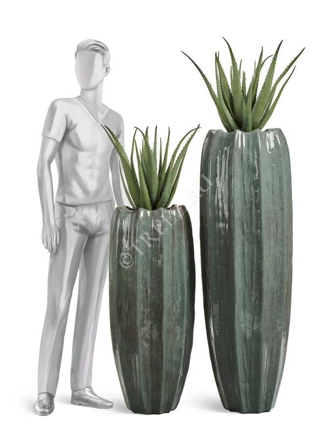 Алоэ куст в горшке фото