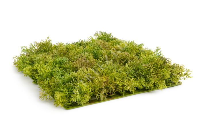 Мох Ягель светло-зелёный микс (коврик) фото