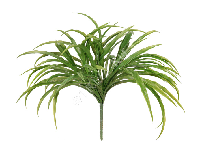 Трава Ванилла Грасс зелёная фото