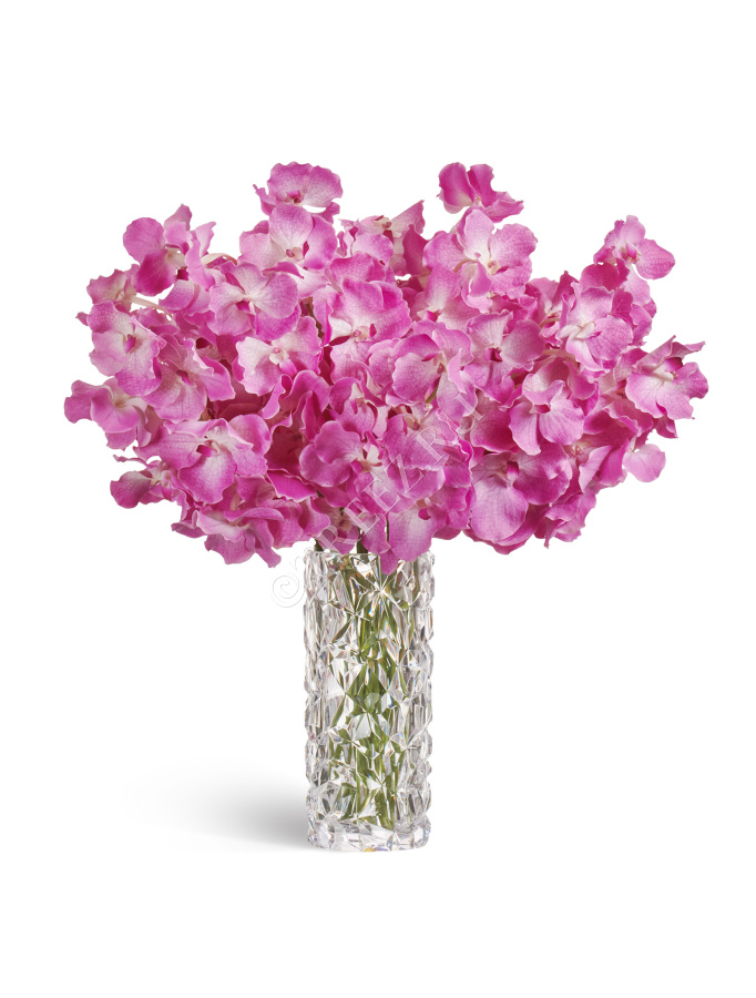 Орхидея Ванда с ярко-сиреневыми прожилками фото