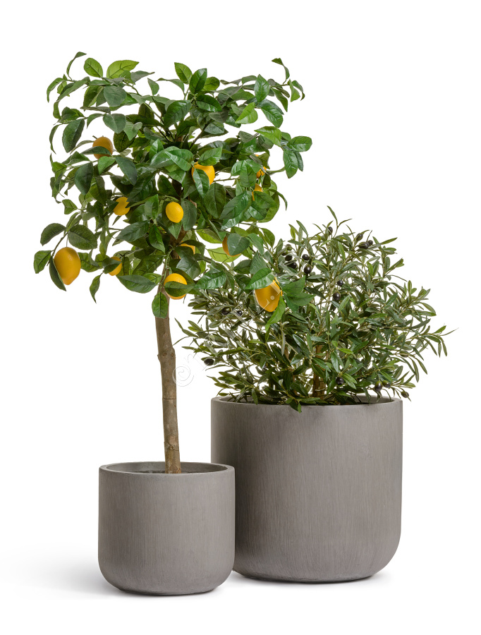 Кашпо TREEZ ERGO - Just - Цилиндр - Мокко фото