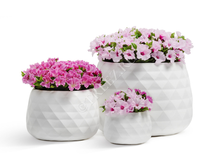 Кашпо TREEZ ERGO - Diamond - Низкая чаша - Белый камень фото