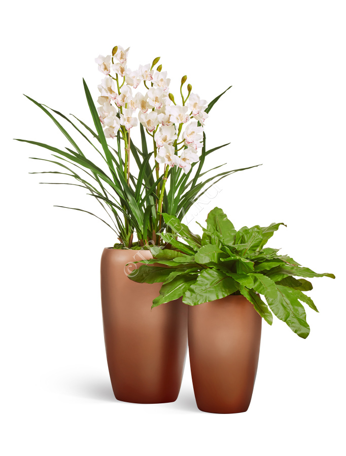 Кашпо TREEZ Effectory - Metal - Высокий округлый конус - Лаковое тёмное золото фото