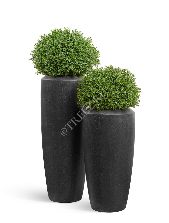Кашпо TREEZ Effectory - Quartz - Высокий конус - Чёрный кварц фото
