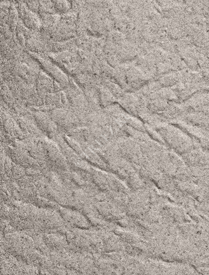 Кашпо TREEZ Effectory - Organic - Сфера - Белый песок фото