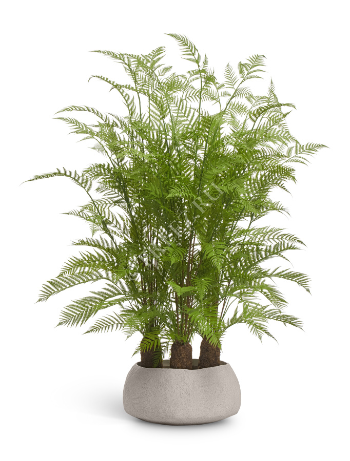 Кашпо TREEZ Effectory - Organic - Низкая чаша - Белый песок фото