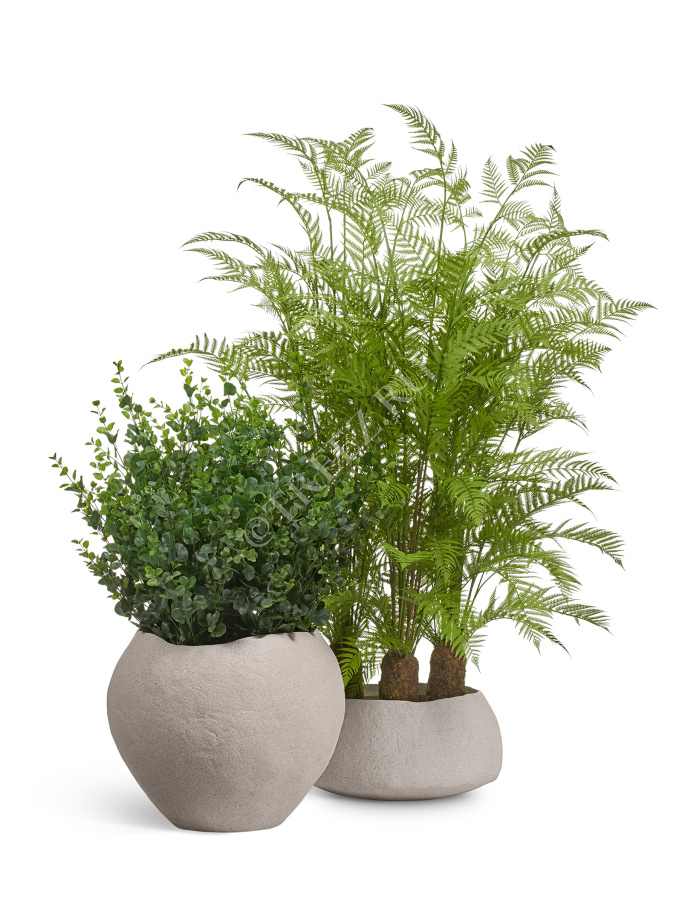 Кашпо TREEZ Effectory - Organic - Низкая чаша - Белый песок фото