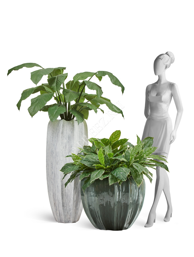 Кашпо TREEZ Effectory - Aura - Чаша - Изумрудный лак фото