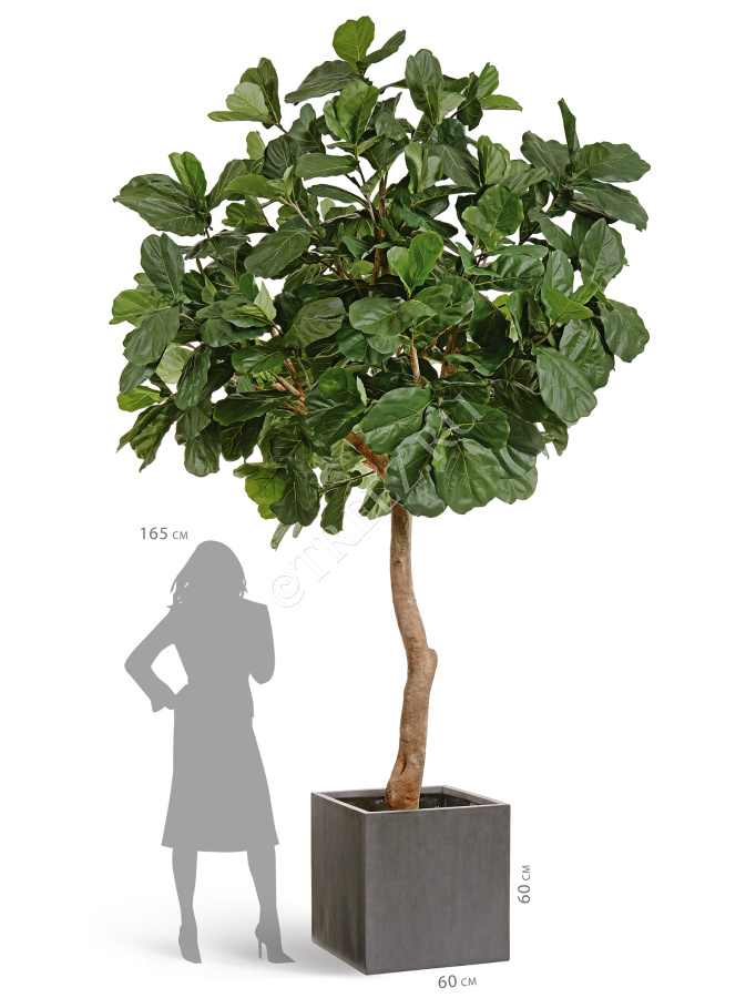 Кашпо TREEZ Effectory - Beton - Куб - Тёмно-серый бетон фото