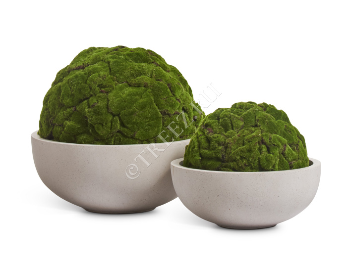 Кашпо TREEZ Effectory - Beton - Низкая сферическая чаша - Белый песок фото