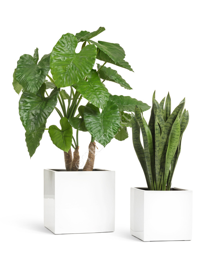 Кашпо TREEZ Effectory - Gloss - Куб - Белый глянцевый лак фото