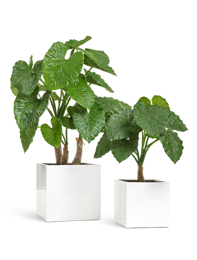 Кашпо TREEZ Effectory - Gloss - Куб - Белый глянцевый лак фото