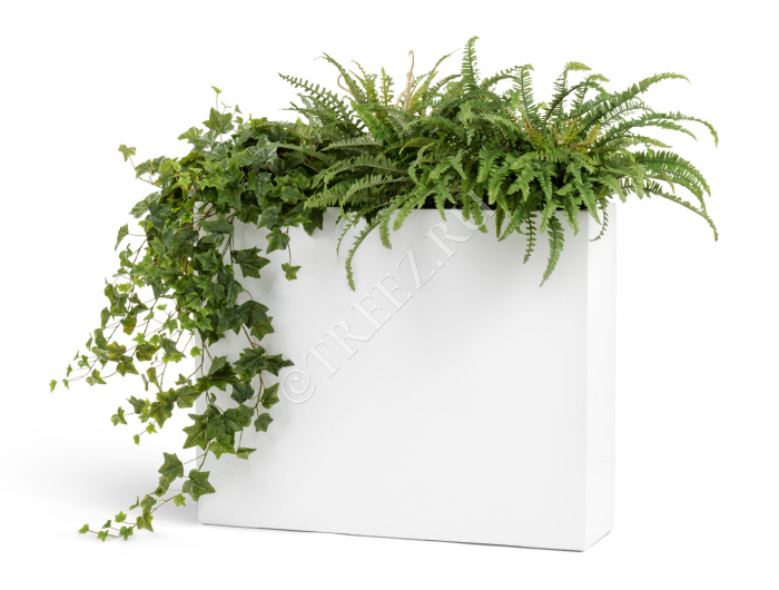 Кашпо TREEZ Effectory - Gloss - Дивайдер высокий - белый глянцевый лак фото