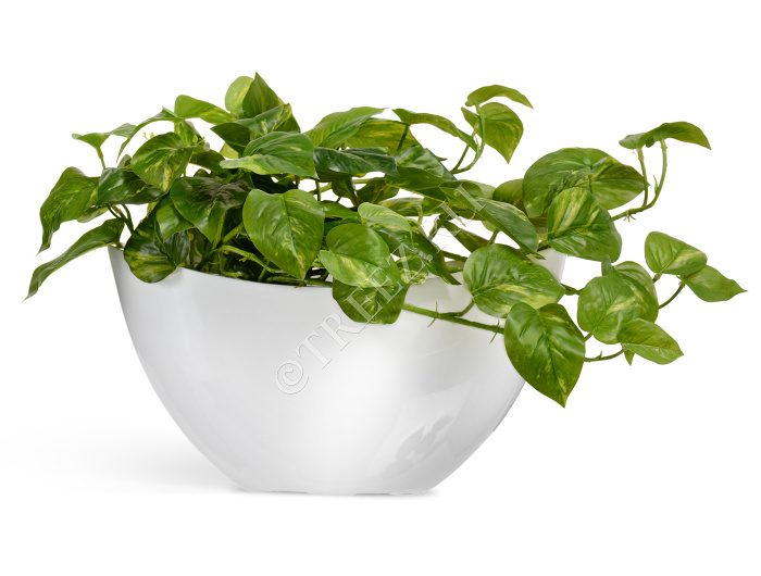 Кашпо TREEZ Effectory - Gloss - Ваза-Лодка малая - Белый глянцевый лак фото