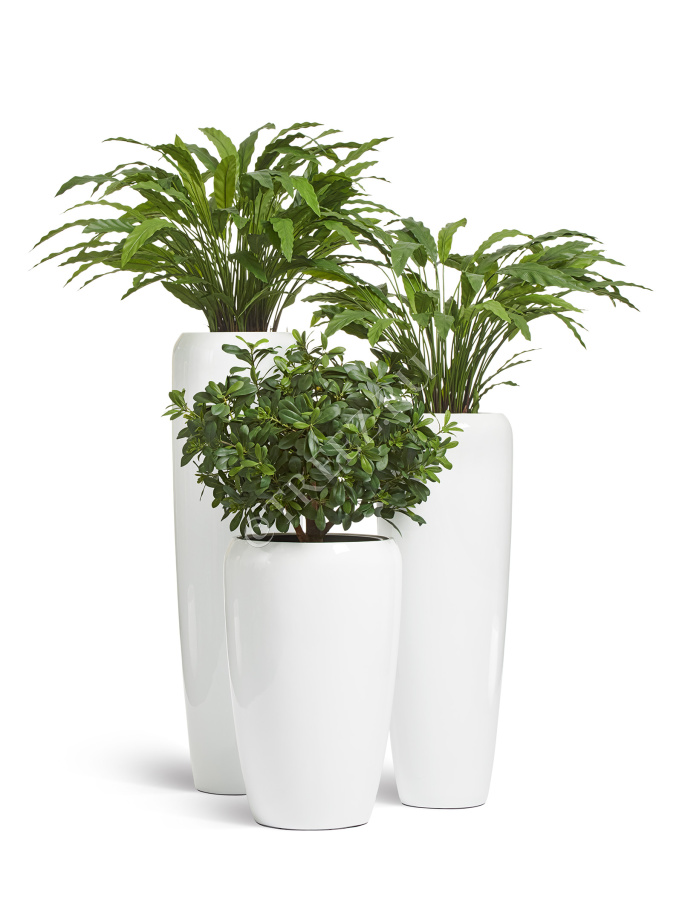 Кашпо TREEZ Effectory - Gloss - Высокий округлый конус - Белый глянцевый лак фото