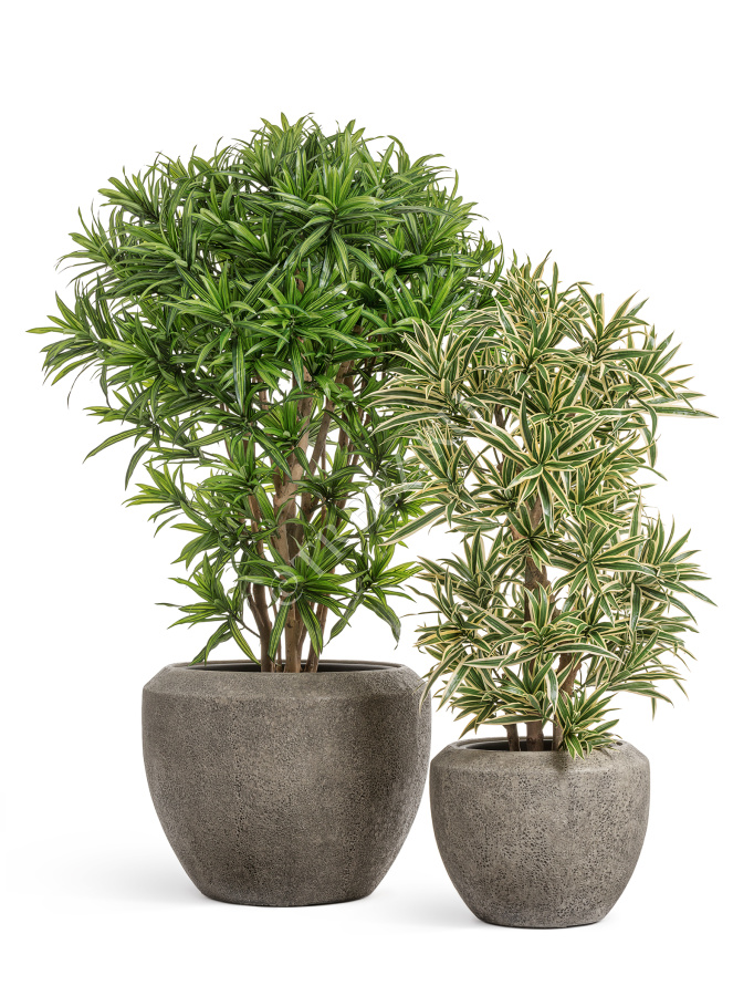 Кашпо TREEZ Effectory - Volcano - Чаша Design - Серо-коричневый туф фото