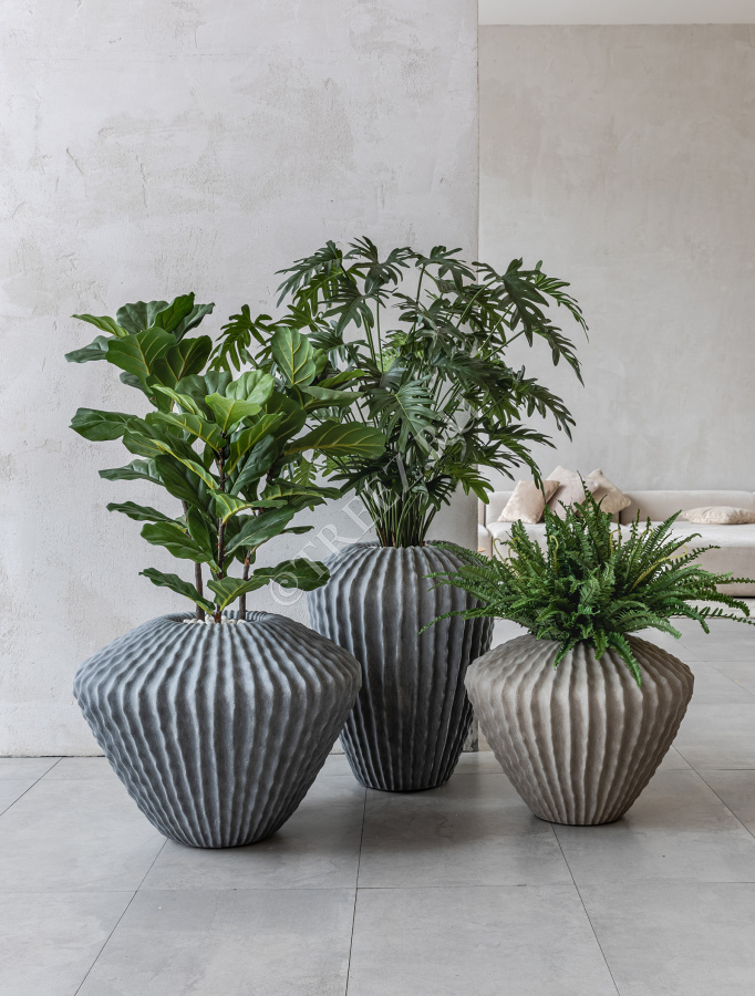 Сет № 18 - Композиция Триптих с Филодендроном Ксанаду в кашпо Treez Effectory Moho фото