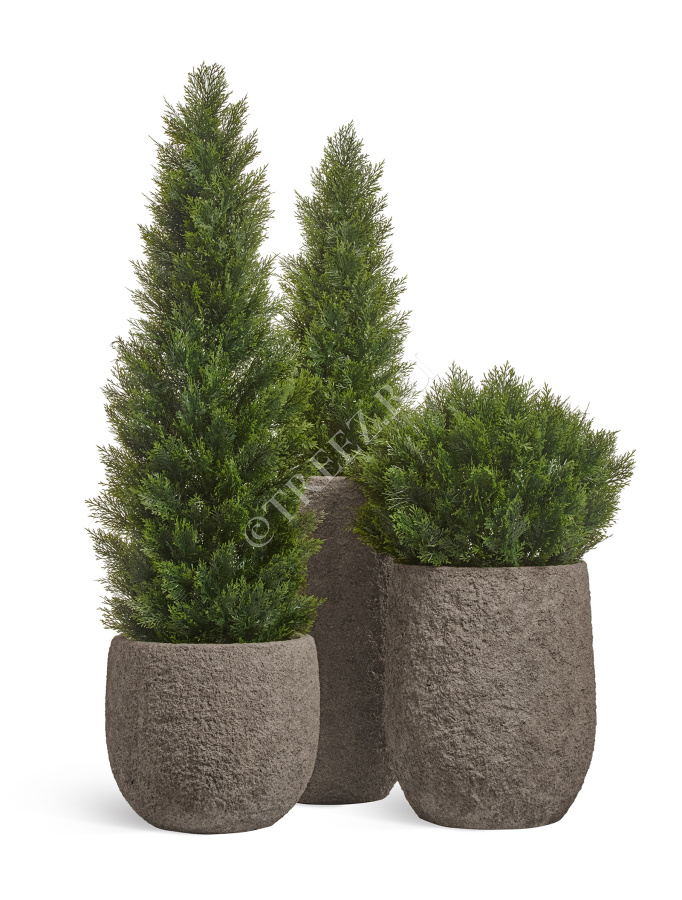 Сет № 25 - Композиция с Туями Брабант в кашпо Treez Effectory Terra фото