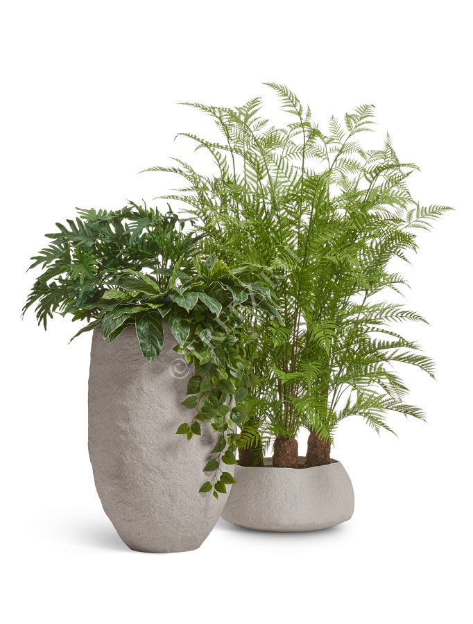 Сет № 30 - Композиция с Древовидным папоротником и зеленью в кашпо Treez Effectory Organic фото