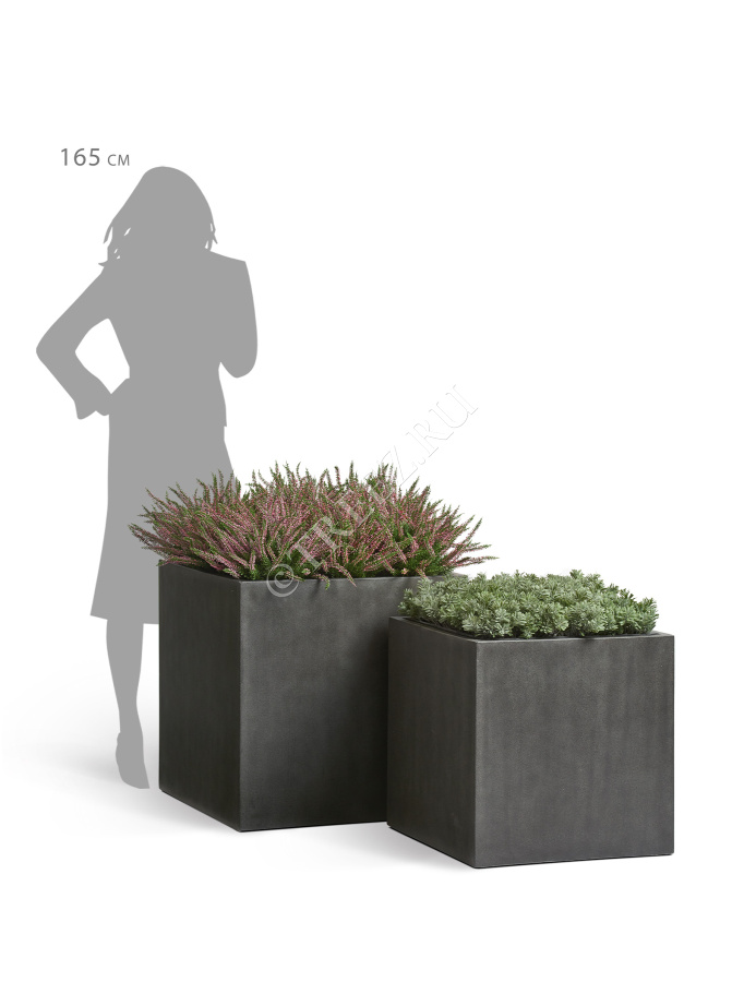 Сет № 81 - Композиция в кубических кашпо Treez Effectory Beton фото